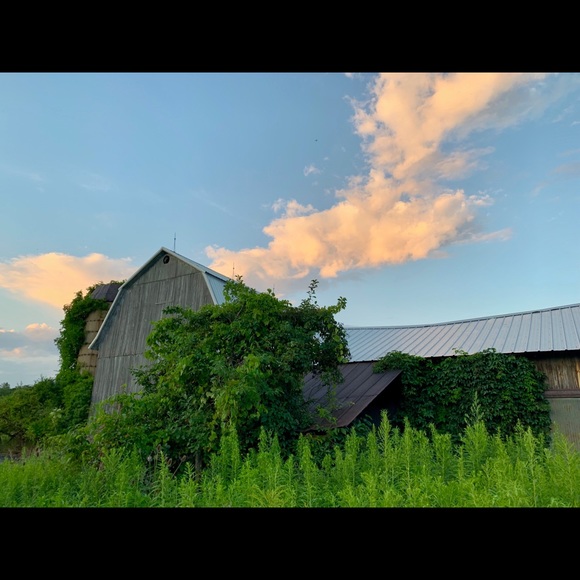 Meet your Posher, Lloretta - Picture 2 of 3